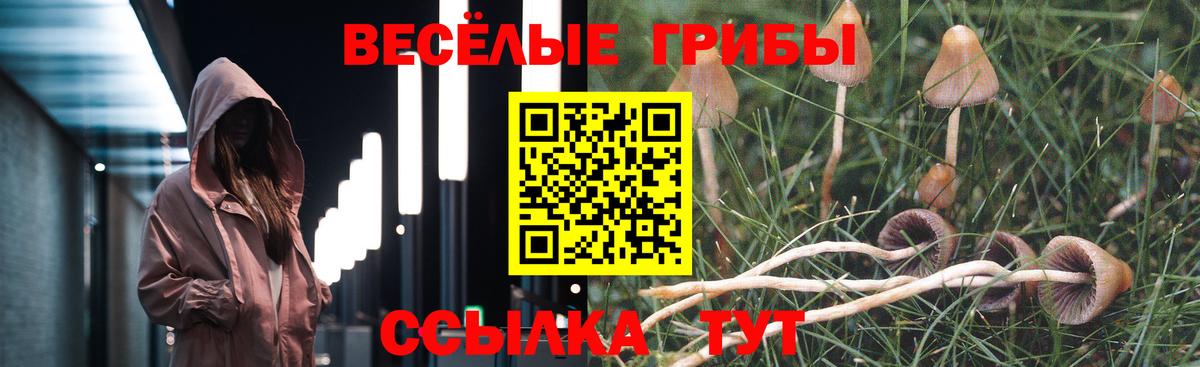 Псилоцибиновые грибы Cubensis Гусь-Хрустальный
