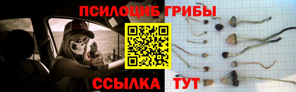 Галлюциногенные грибы Magic Shrooms  Вход с VPN  Гусь-Хрустальный 